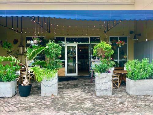A cozy restaurant entrance with potted plants, string lights, and outdoor seating under a blue awning.
