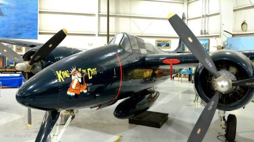 A vintage aircraft with a blue exterior and a cartoon fox logo, displayed in a museum setting.