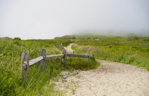 A winding path through lush green grass, bordered by a wooden fence, leading into a foggy landscape.