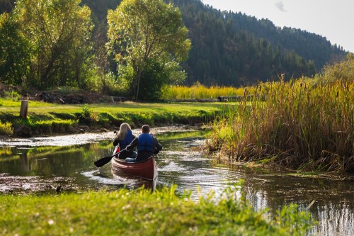 A couple paddles a canoe through a serene, green landscape with trees and tall grass along the water's edge.