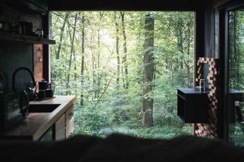 Cozy interior view of a kitchen with a large window overlooking a lush green forest. Soft light filters through the trees.