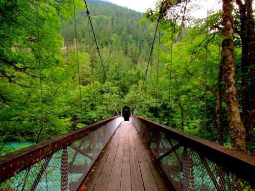 A wooden suspension bridge surrounded by lush green trees, leading into a forested area.