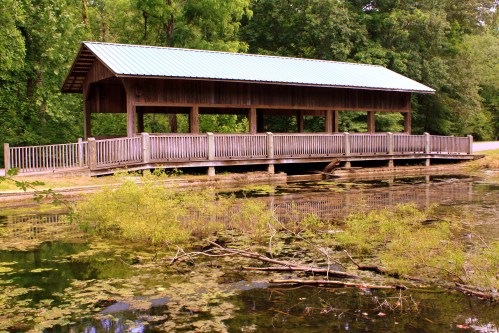 A wooden covered bridge with a metal roof spans a pond, surrounded by lush greenery and overgrown vegetation.