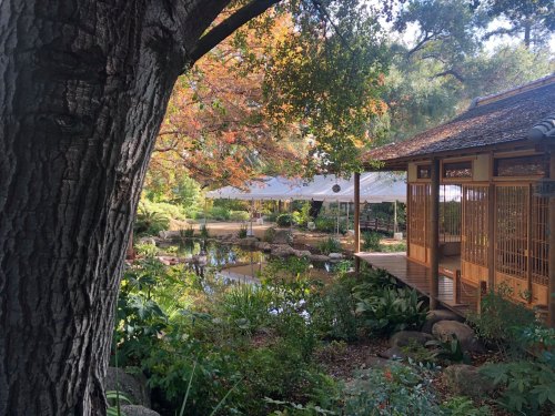 A serene garden scene featuring a wooden structure, pond, and colorful autumn foliage.