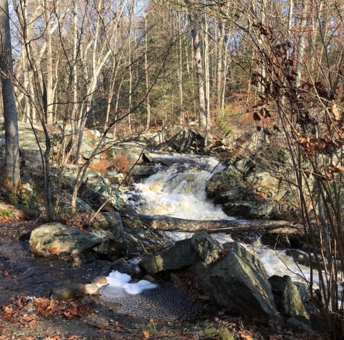 A serene forest scene featuring a flowing waterfall surrounded by rocks and autumn foliage.