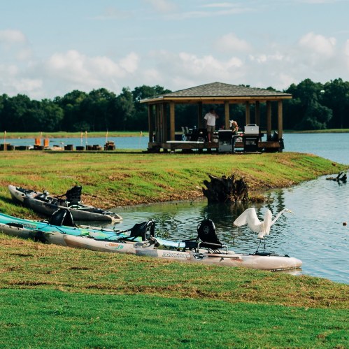 A serene lakeside scene with kayaks on the grass, a gazebo, and a white bird standing on a kayak.