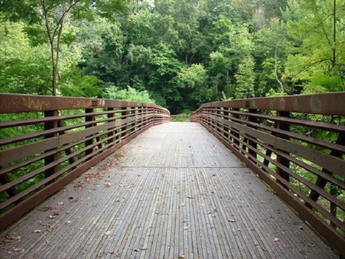 A wooden bridge stretches over a path, surrounded by lush green trees and foliage.