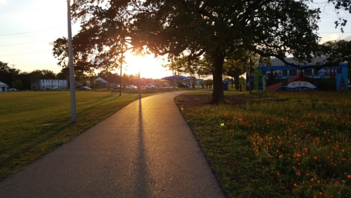 A sun sets over a park pathway, casting long shadows and illuminating nearby trees and colorful flowers.