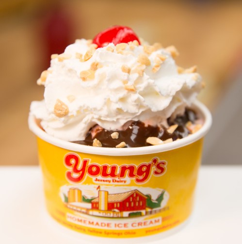 A cup of ice cream topped with whipped cream, a cherry, and crushed nuts, featuring a colorful logo from Young's Jersey Dairy.