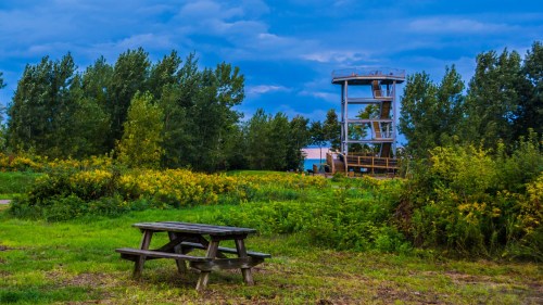 A picnic table in a grassy area with trees and a lookout tower in the background under a cloudy blue sky.