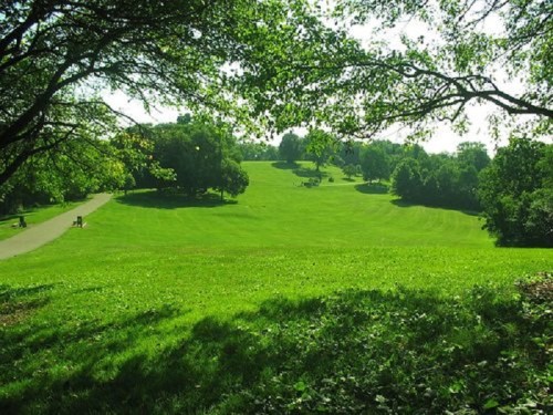 A lush green park with rolling hills, trees, and a winding path under a bright blue sky.