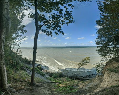A panoramic view of a riverbank with trees, sandy shore, and a cloudy blue sky reflecting on the water.
