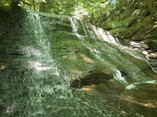 A serene waterfall cascading over moss-covered rocks, surrounded by lush green trees in a tranquil forest setting.