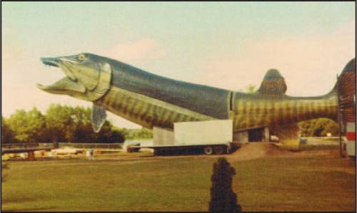 A large, colorful fish sculpture on a trailer, set in a grassy area with trees in the background.