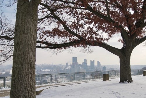 A winter view of a city skyline framed by two trees with bare branches and snow-covered ground.