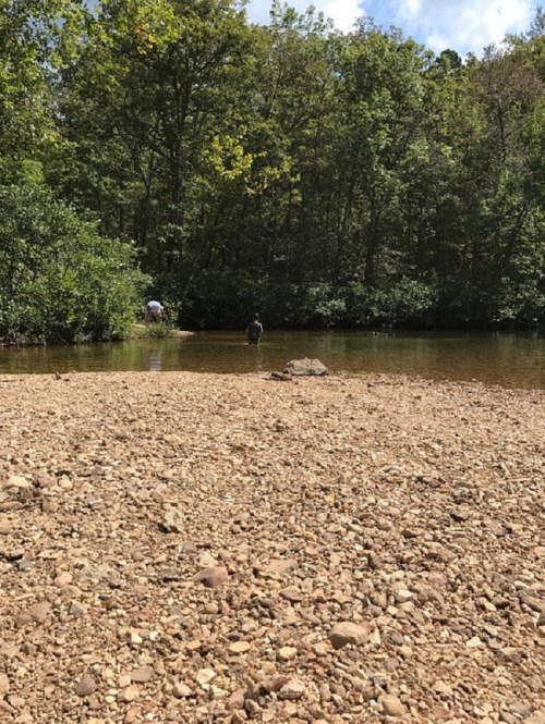 A rocky riverbank with two people wading in shallow water surrounded by trees and greenery.