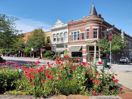 Charming downtown scene with historic buildings and vibrant red flowers in the foreground under a clear blue sky.