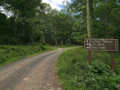 A dirt road splits in a forest, with a sign pointing to Columbia Furnace, Lost River, and Stroit Pond.