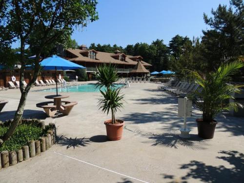 A sunny pool area with lounge chairs, umbrellas, and potted plants, surrounded by trees and a building in the background.