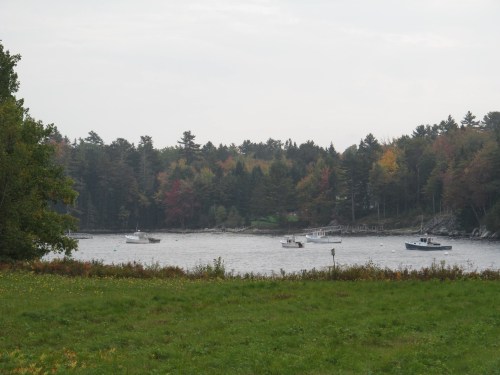 A serene coastal scene with boats on a calm waterway, surrounded by trees displaying autumn colors.