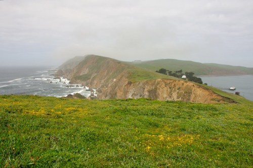 A coastal landscape featuring grassy cliffs, ocean waves, and a distant lighthouse under a cloudy sky.