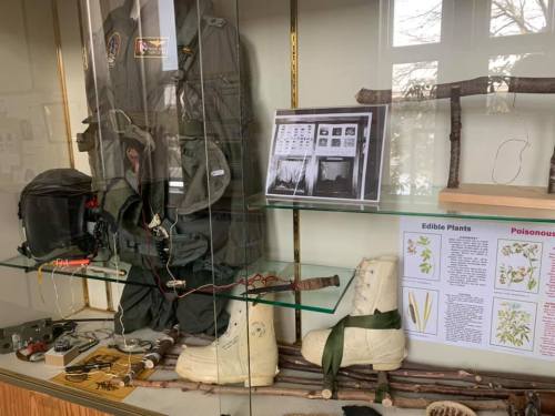 Display case featuring military gear, a helmet, boots, and educational materials on edible and poisonous plants.