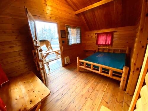 Cozy wooden cabin interior with a bed, open door, and a dog standing on the porch. Warm, rustic atmosphere.