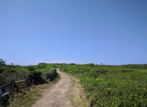 A dirt path winds through lush greenery under a clear blue sky, leading towards distant hills.
