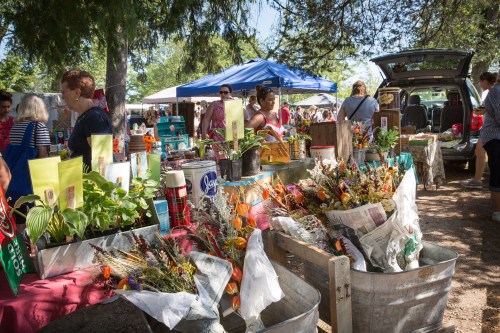 A vibrant outdoor market scene with stalls displaying flowers, plants, and various goods, surrounded by shoppers.