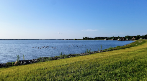 A serene lake scene with ducks swimming, green grass in the foreground, and cottages along the shore under a clear blue sky.
