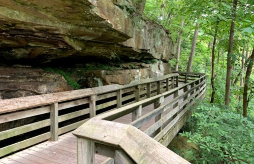 A wooden boardwalk winds through a lush forest, alongside a rocky cliff and greenery.