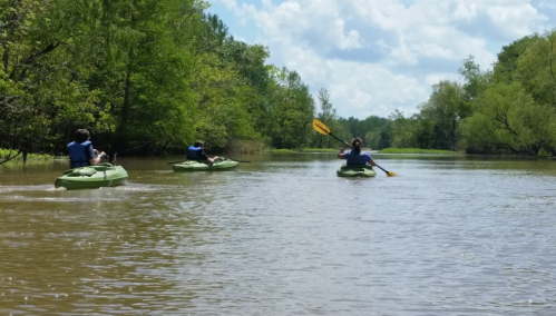 Three people kayaking on a calm river surrounded by lush green trees under a bright blue sky.