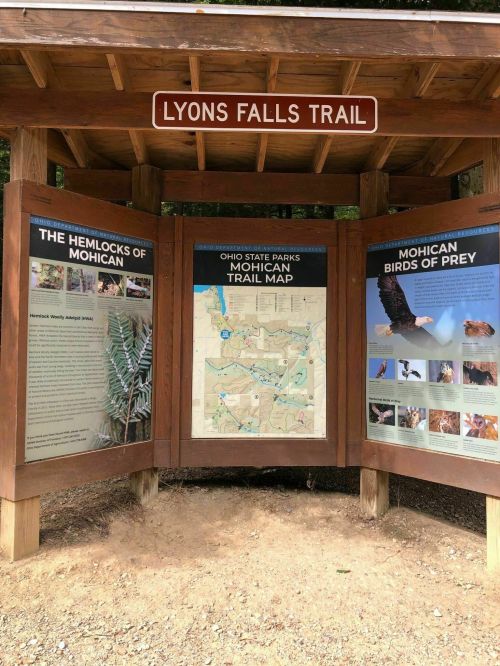 Information kiosk for Lyons Falls Trail featuring maps and details about local flora and birds of prey.