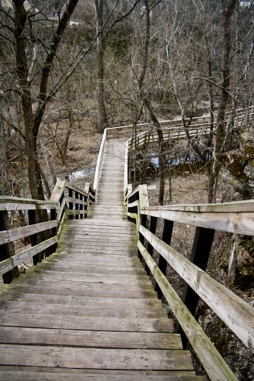 A wooden staircase descends through a forest, surrounded by bare trees and a rocky landscape.
