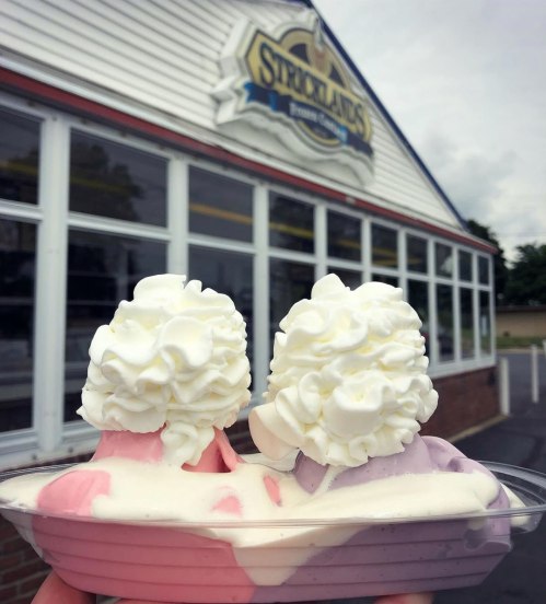 A hand holding a bowl of pink and purple ice cream topped with whipped cream, in front of a Strickland's ice cream shop.