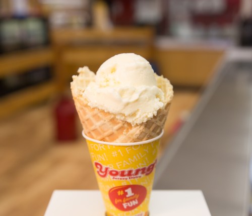 A scoop of vanilla ice cream in a waffle cone, placed in a colorful cup with "Young's" branding.