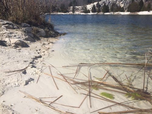 A serene lakeside scene with clear water, sandy shore, and scattered reeds along the edge.
