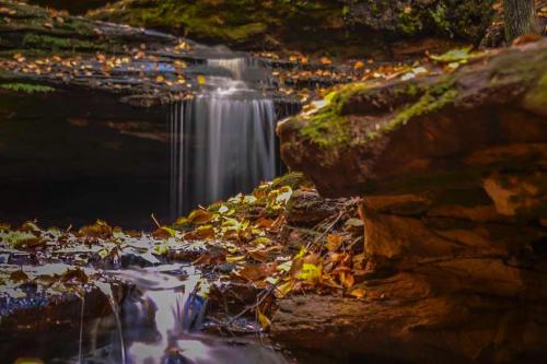 A serene waterfall cascades over rocks, surrounded by autumn leaves and lush greenery in a tranquil forest setting.