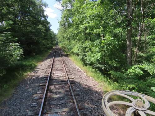 A view of a railway track stretching through a lush green forest under a clear blue sky.
