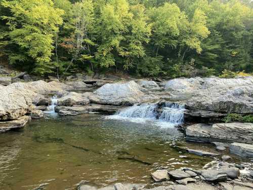 A serene river flows over rocks, surrounded by lush green trees in a peaceful natural setting.