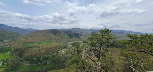 A panoramic view of rolling green hills and mountains under a cloudy sky, with trees in the foreground.