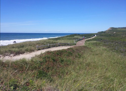 A scenic coastal path winds through grassy dunes, leading to the ocean under a clear blue sky.