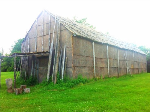 A rustic, thatched-roof building made of wood and grass, surrounded by green grass and trees.