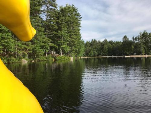 A serene lake surrounded by lush green trees, with a bright yellow object in the foreground reflecting on the water.