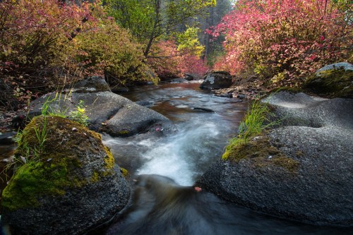 A serene stream flows over rocks, surrounded by vibrant autumn foliage in shades of red and orange.