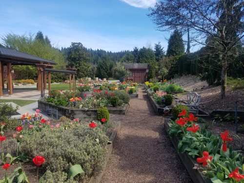 A scenic garden path lined with colorful tulips and greenery, leading to a wooden structure under a clear blue sky.