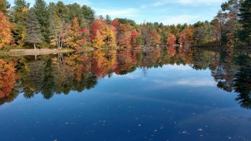 A serene lake reflecting vibrant autumn trees in shades of red, orange, and yellow under a clear blue sky.