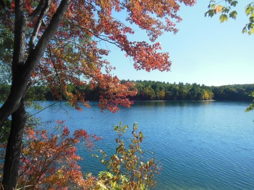 A serene lake surrounded by vibrant autumn foliage under a clear blue sky.
