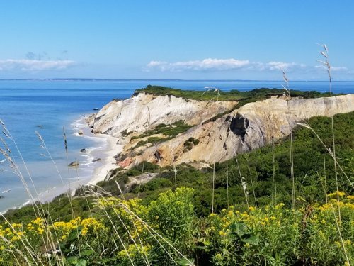 A scenic coastal view featuring cliffs, sandy beach, and lush greenery under a clear blue sky.
