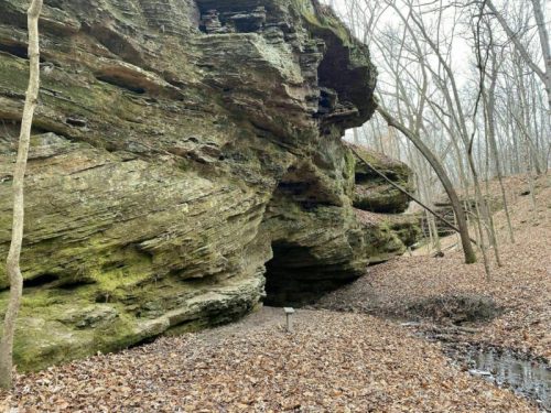 A rocky cliff with moss, surrounded by bare trees and a leaf-covered ground, near a small stream.
